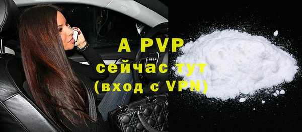 сатива Дмитриев