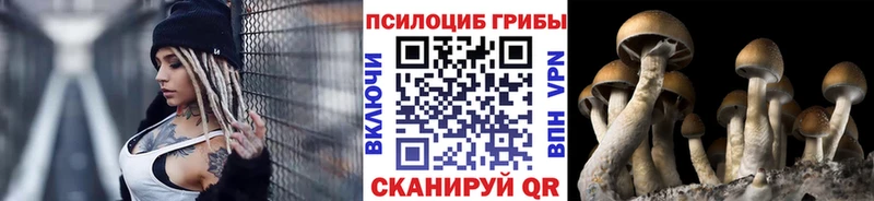 купить наркотик  Крым  Псилоцибиновые грибы ЛСД 